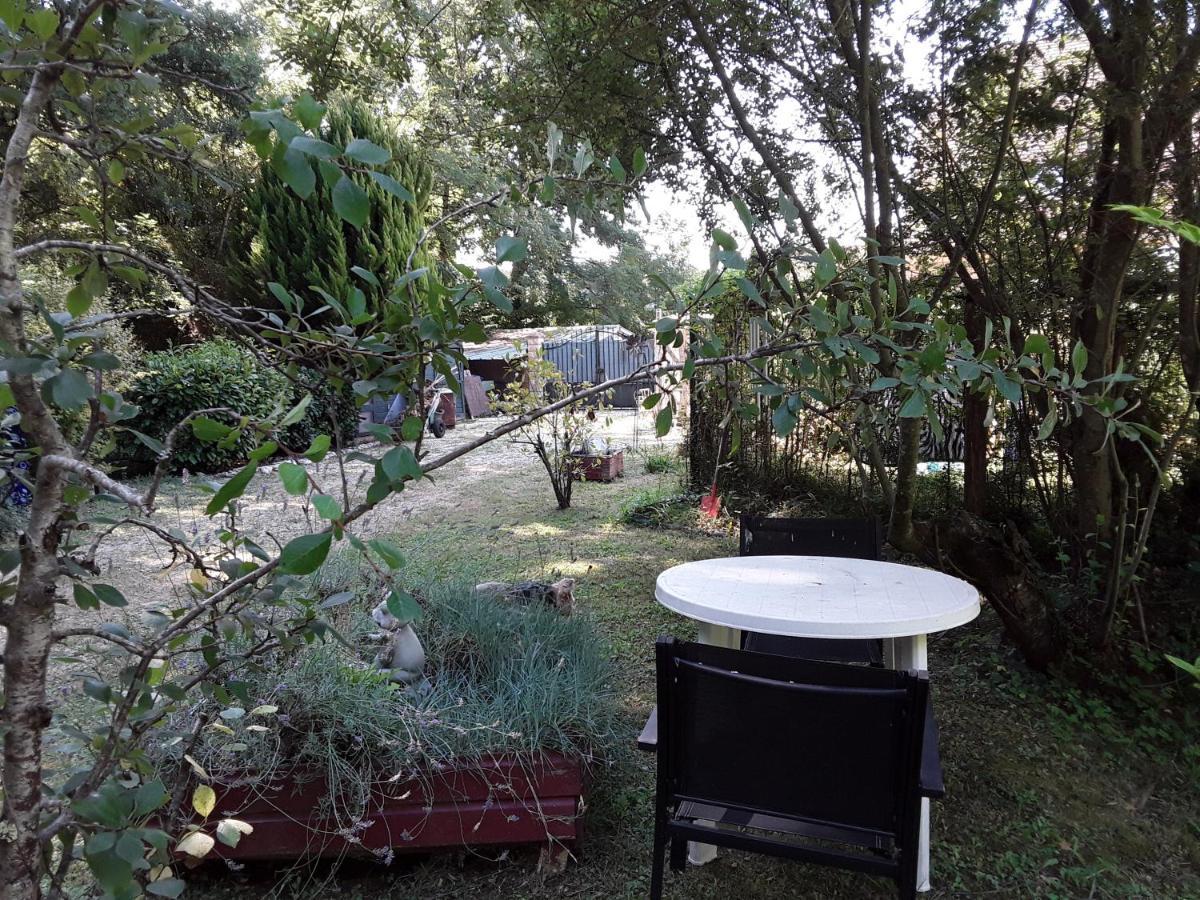 Le Chalet De La Grenouille Verte Tursac Ngoại thất bức ảnh